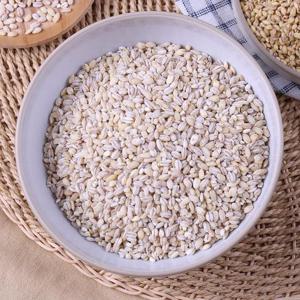 [이잡곡이다] 미국산 늘보리 1kg