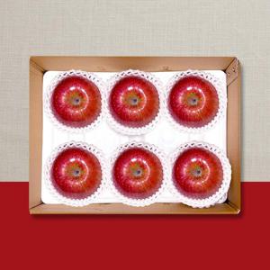 [이푸른] 당도선별 정품 사과 2kg 5-6과 특대과