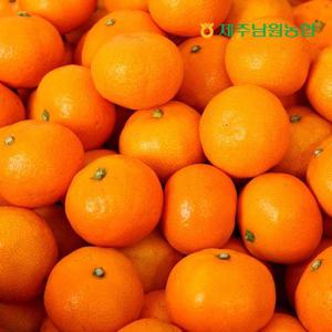 제주남원농협 비가림 감귤 소과 2.5kg (실중량)