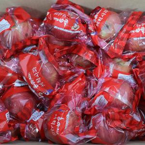 GAP 청송 부사 세척사과 가정용 4kg 중과 (17-18과) 개별포장 산지직송 실속형 꿀사과