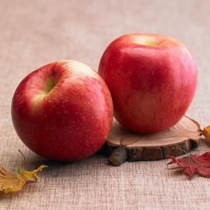 [자연예서] 부사 청송 사과 5kg (14-15과) (명품)