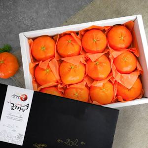 [애월농협] 제주 레드향 선물세트 3kg (12입 내외) 부직포 포장