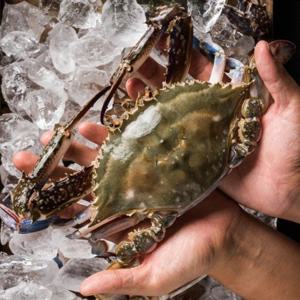 [대한민국농수산] 속이 꽉 찬 산지직송 급속냉동 암꽃게 1kg