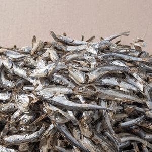 [마산어시장] 국물용멸치 다시멸치 남해안멸치 상급 1.5kg