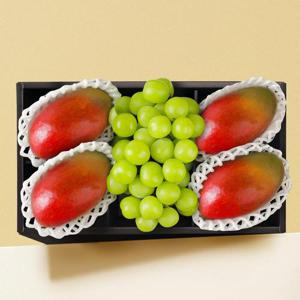 [스윗베러] 혼합과일 선물세트 2.2kg내외 (애플망고 4입+샤인머스캣 1입)