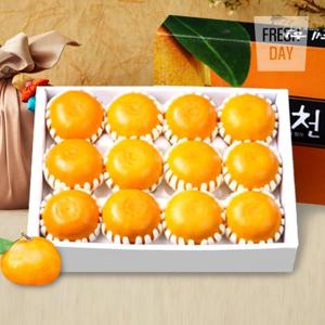 달콤상큼 제주 천혜향 선물세트 특2호 (3kg/10~13입)