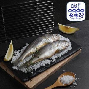 [씨토랑]법성포 봉지굴비 60미 3.0kg