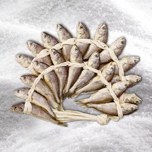 [굴비家]영광법성포 참굴비(냉동/국산)20미 1.3kg