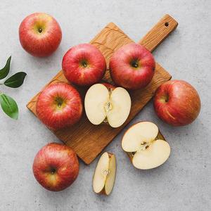 [산지직송] 아삭아삭 부사사과 4kg 중소과 가정용 (19-24과)