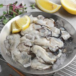 경남 통영 생굴(알굴) 1kg/kg당 40마리내외