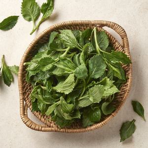 [새벽배송][우리가락]취나물 250g(쫑취)