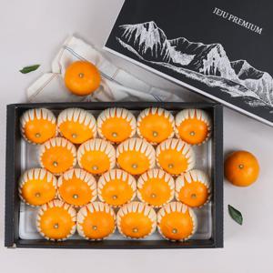 제주 천혜향 명품 선물세트 5kg (중대향/11-25과) 부직포가방동봉