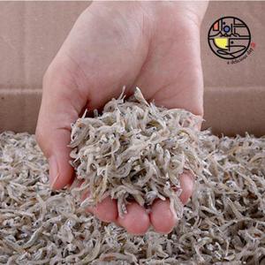 완도 특상품 볶음용 멸치(세멸,지리) 300g