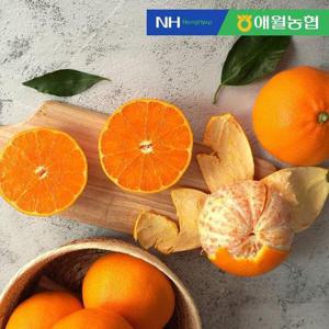 갤러리아_[애월농협] 제주 천혜향 선물세트 3kg (15입 내외) 부직포 포장