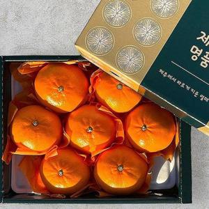 제주 천혜향 선물세트 5kg 9-18과 대과 제주도 천혜향 한박스 노지천혜향