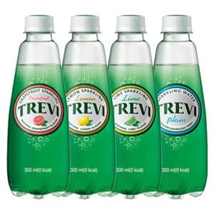 [롯데칠성] 트레비 300ml x 20펫 4종