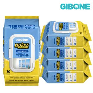 기본에 빅사이즈 유리 거울 전용 세정티슈 30매 5팩