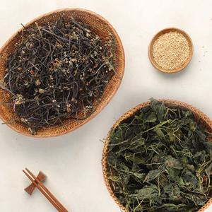 [제주시산림조합] 건취나물 100g + 건고사리 100g