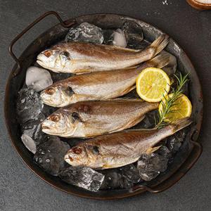 [물맛남] 국내산 쫄깃한 반건조 백조기 1kg (10미내외)