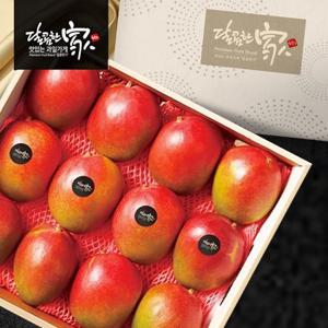 [달콤한가]더 프리미엄 애플망고 선물세트(4kg/9-12과)