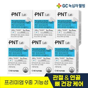 GC녹십자웰빙 PNT 뮤코다당단백(콘드로이친) 트리플러스 60정 1개월분 X 6