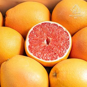 [웰굿] 프리미엄 레드 자몽 3kg(9과내외,개당340g내외)