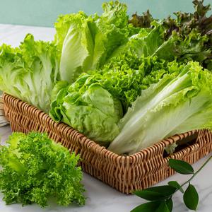 [GAP인증] 유러피안 샐러드 1kg(4종)