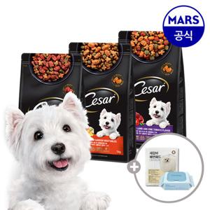 시저 건사료 1kgx2개 2종 골라담기+애견칫솔+베베숲물티슈1팩
