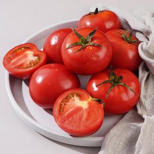 스테비아 완숙토마토 스윗마토 2kg (1kgx2팩)