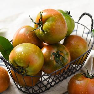 [정품/선별배송] 부산 짭짤이 대저토마토 2.5kg(M-2S) x 2박스 / 총 5kg