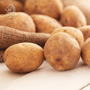 [웰굿] 국내산 포슬한 개진감자 2kg(특,개당100-180g내외)