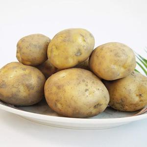 [올즈마켓]전북 김제 2025년 노지 햇 수미감자 특 3kg