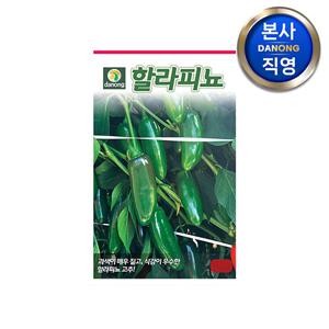 할라피뇨 고추 씨앗 30립 . 야채 채소 과채류 텃밭 작물 씨 종자.