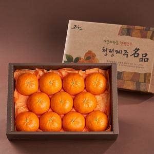 [자연품애 레드향] 레드향 선물세트 실중량 4.5kg 23과내외