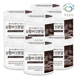 [푸른들판] 100% 상황버섯 분말 가루 차 100gx7통 베타글루칸 함유 뽕나무 목질 진흙버섯