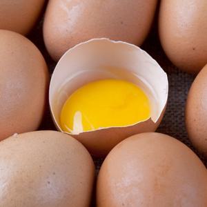 HACCP인증 품질보장 영양가득 특란 30구