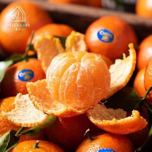 [웰굿] 프리미엄 미국산 달콤한 만다린 귤 2kg(24-30과)