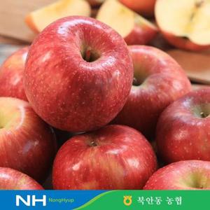 북안동 농협 부사 사과 정품(특상) 3kg(13-17과/당도선별/실중량)