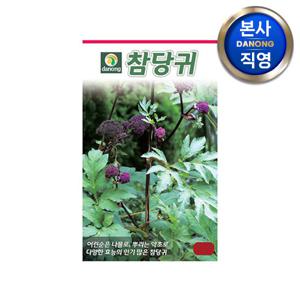 참당귀 씨앗 1g . 야채 채소 텃밭 파종 재배 뿌리당귀 씨 종자.