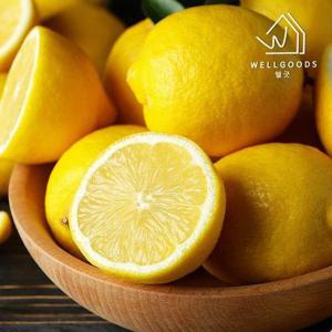 갤러리아_[웰굿] 프리미엄 팬시 생 레몬 5kg(49과내외,개당90g내외)