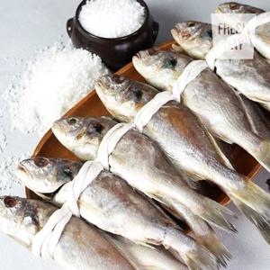 [프레시데이] 국내산 백조기 영광 법성포 백굴비 고급1호 10미