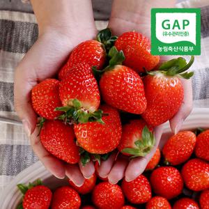 [GAP인증] 새콤달콤 산청 설향 딸기 1kg 특품(48과내)