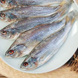 [진공포장]비늘이 제거된 반건조 민어(가이석태속) 20미(미당 100~150g)