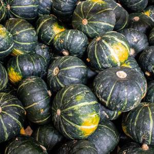 달콤한 단호박 뉴질랜드 5kg