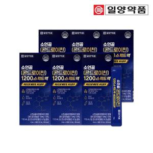 일양약품 소연골 콘드로이친 1200 6박스 소유래 콘트로이친 콘도로이친