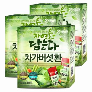[조은약초] 프리미엄 차가버섯 환 스틱 3g x 30포 x 3박스 (총 270g)