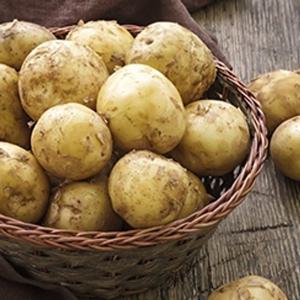 국내산 포슬포슬 햇 수미감자 10kg 대(90~130g 내외)