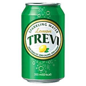 [롯데칠성] 트레비 레몬 355ml X 24캔