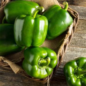 [산정마을]피망 청피망 1kg