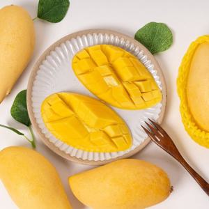 [과일꾼] 항공직송 태국 골드망고 4kg 8-14과